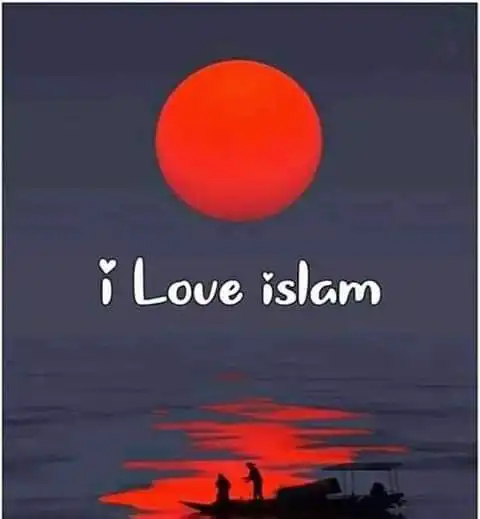 allah whatsapp dp allah whatsapp dp